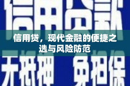 福贡信用贷，现代金融的便捷之选与风险防范