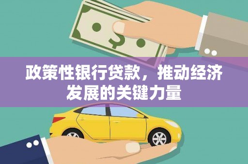 福贡政策性银行贷款，推动经济发展的关键力量