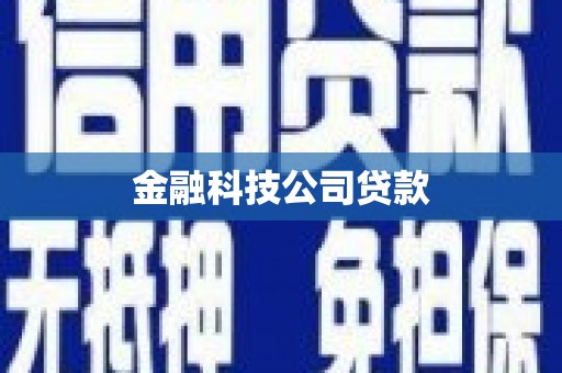 福贡金融科技公司贷款