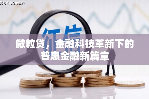 福贡微粒贷，金融科技革新下的普惠金融新篇章