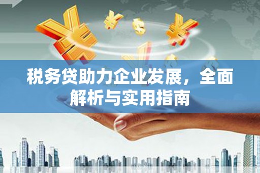 福贡税务贷助力企业发展，全面解析与实用指南