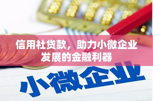 福贡信用社贷款，助力小微企业发展的金融利器