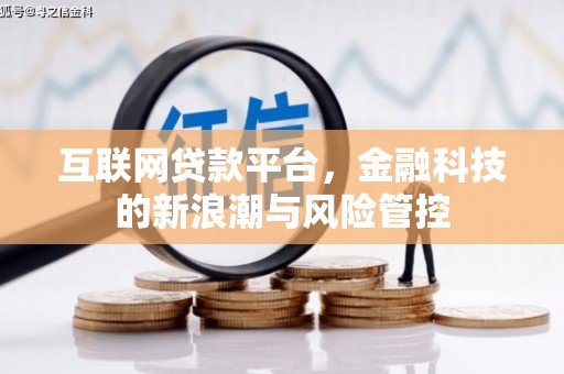 福贡互联网贷款平台，金融科技的新浪潮与风险管控