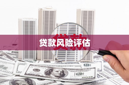 福贡贷款风险评估