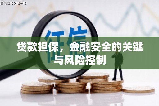 福贡贷款担保，金融安全的关键与风险控制