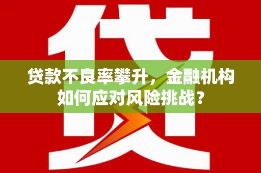 福贡贷款不良率攀升，金融机构如何应对风险挑战？