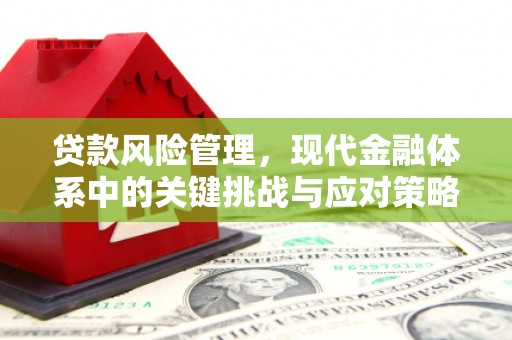 福贡贷款风险管理，现代金融体系中的关键挑战与应对策略