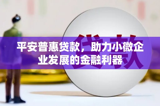 福贡平安普惠贷款，助力小微企业发展的金融利器