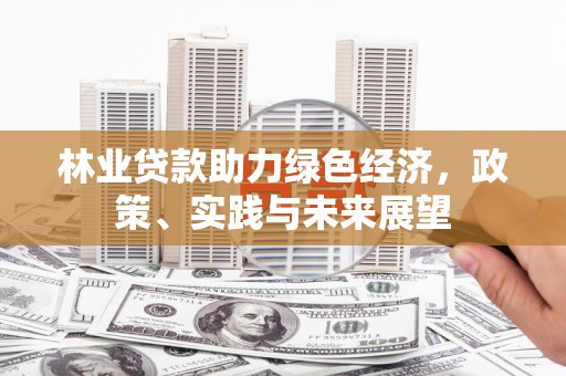 福贡林业贷款助力绿色经济，政策、实践与未来展望