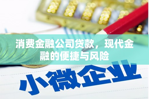 福贡消费金融公司贷款，现代金融的便捷与风险