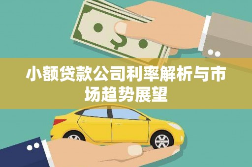 福贡小额贷款公司利率解析与市场趋势展望