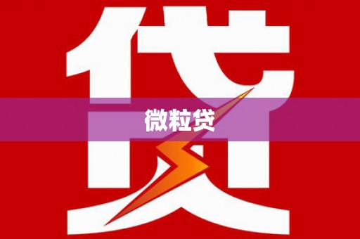 福贡微粒贷