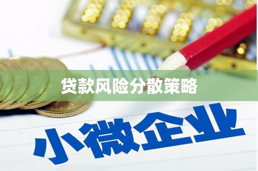 福贡贷款风险分散策略