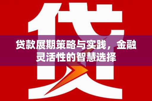 福贡贷款展期策略与实践，金融灵活性的智慧选择