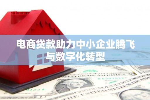 福贡电商贷款助力中小企业腾飞与数字化转型