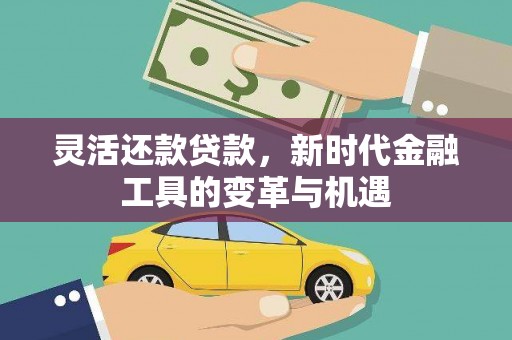 福贡灵活还款贷款，新时代金融工具的变革与机遇