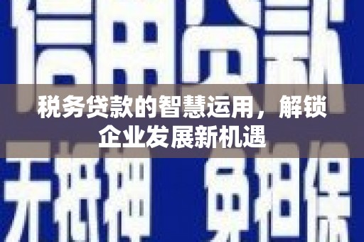 福贡税务贷款的智慧运用，解锁企业发展新机遇